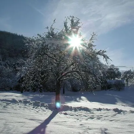 Schneider Vendégház Freiamt