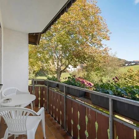 Schneider Vendégház Freiamt