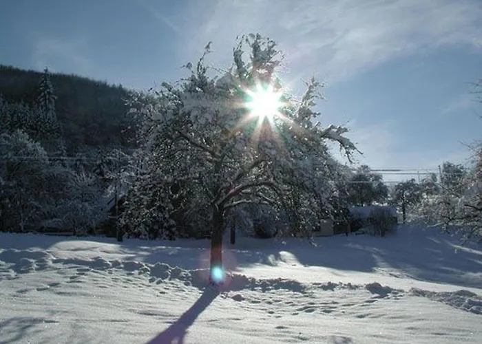 Schneider Pensionat Freiamt