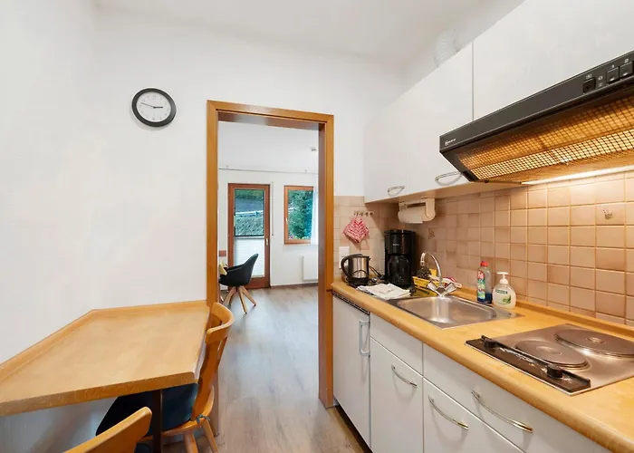 Schneider 3* Freiamt