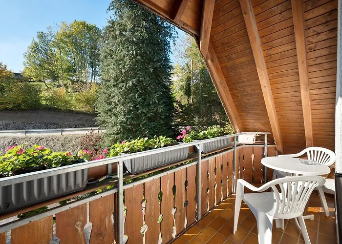 Schneider 3* Freiamt